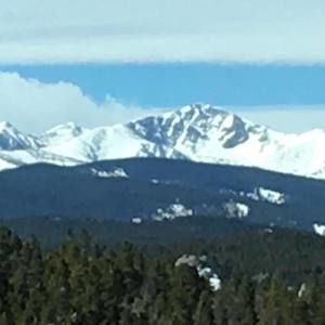 Meet your Posher, Jan